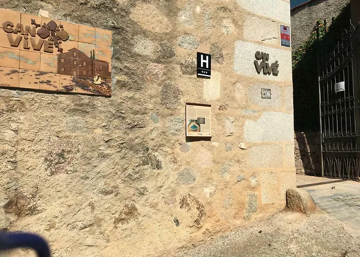 فندق Masia Can Vive 3*